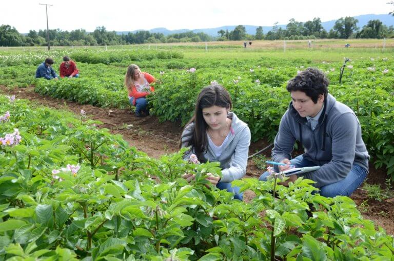 Doctorado en Ciencias Agrarias