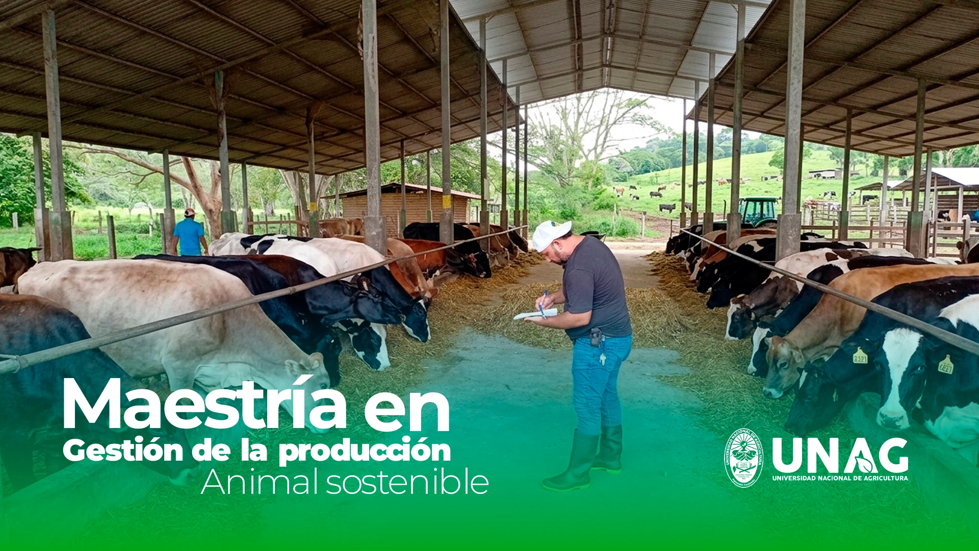 Maestría en gestión de la producción animal sostenible
